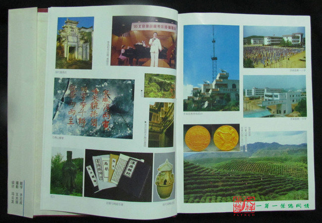 14436169395238218.jpg 14436169395238218.jpg