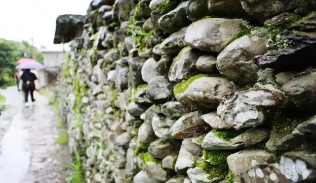 2.webp.jpg 2.webp.jpg