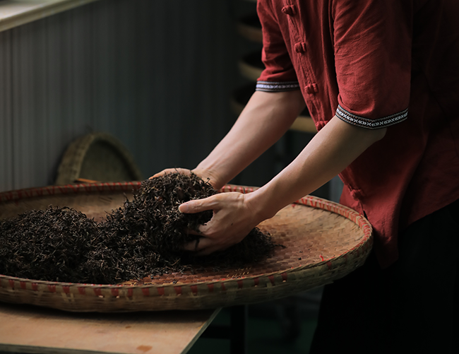 M۶ƷǧƷѲչ  (zhn)ƪT(mn)L(fng)  n_(ki)̖(ho)ߴ ! 