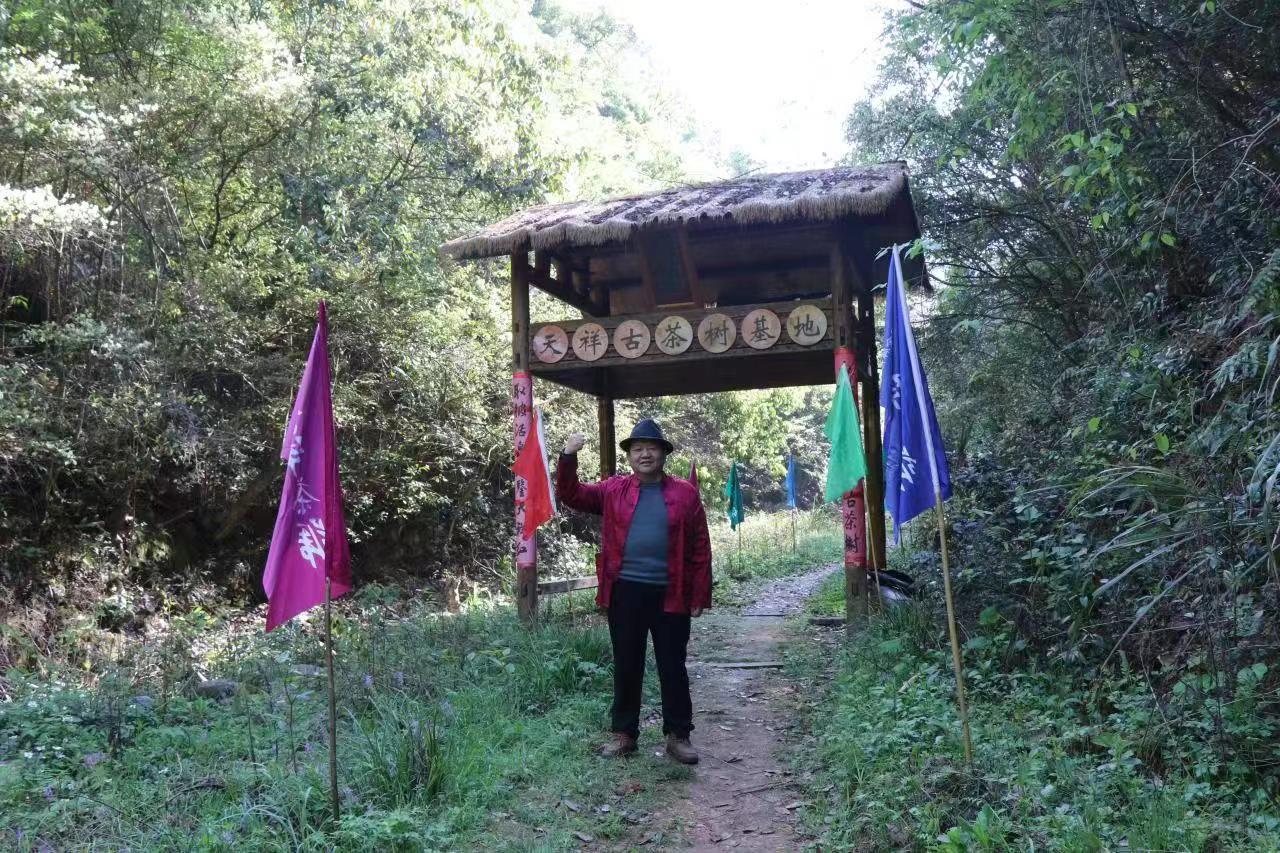 ҕlR^ӛ䛰l(f)չ 50zӰM(jn)L(fng)