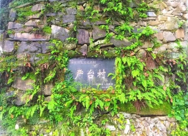 A(ji)̖(ho)}^O(sh)ƽ(hu)  ۾(zhn) ܴ퍲